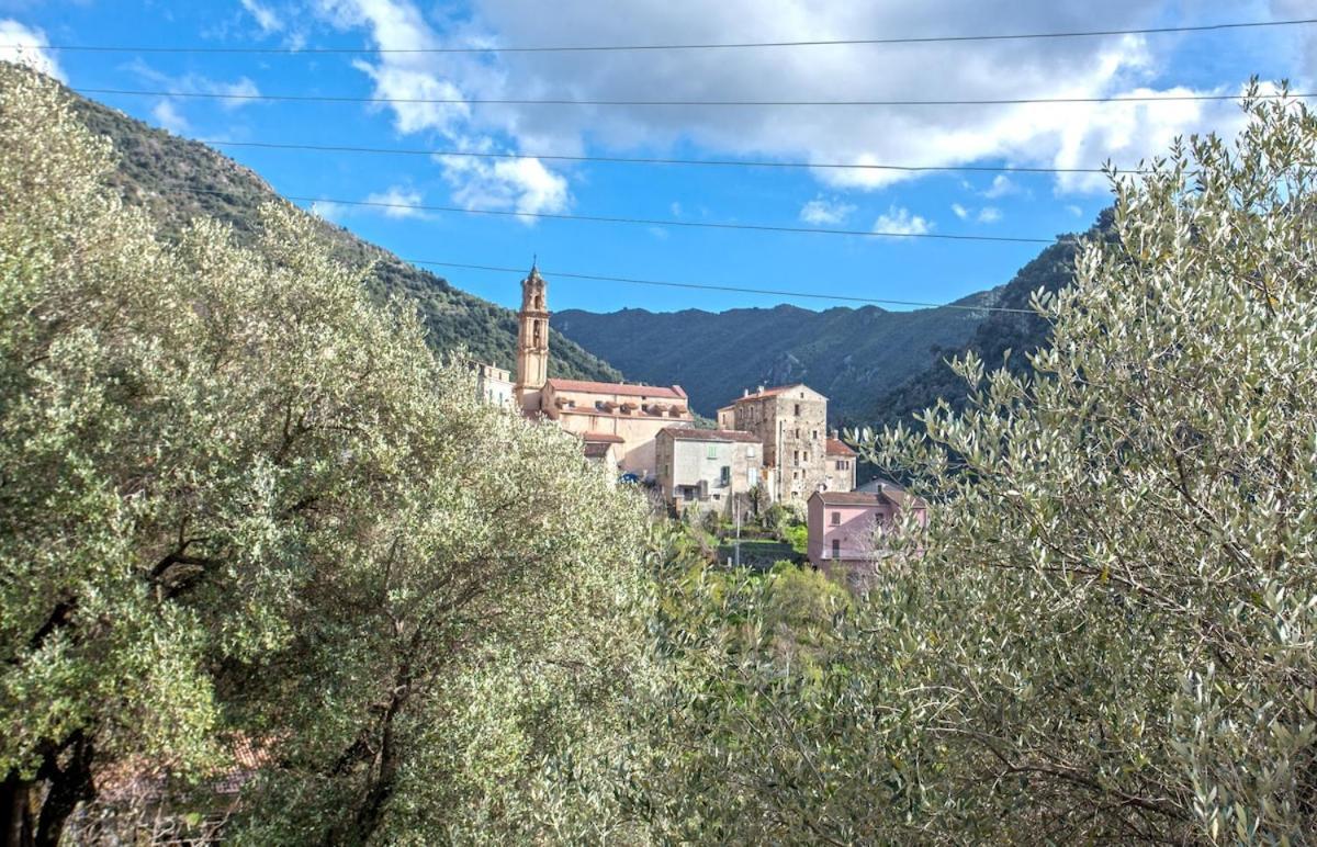 Casa Torra Apartment Omessa Bagian luar foto